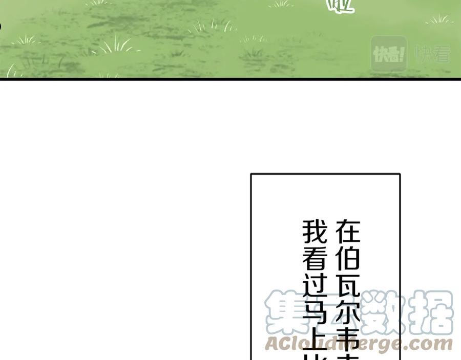 娜丽塔斯·一半的伯爵小姐漫画,第60话 在希斯竞技场飞扬的旗帜77图