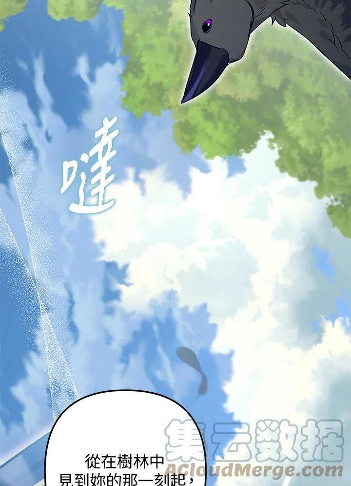 偏偏变成了乌鸦漫画,第35话49图