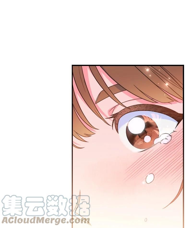 错把结婚当交易，却意外的甜蜜？漫画,39 骑士的玫瑰97图