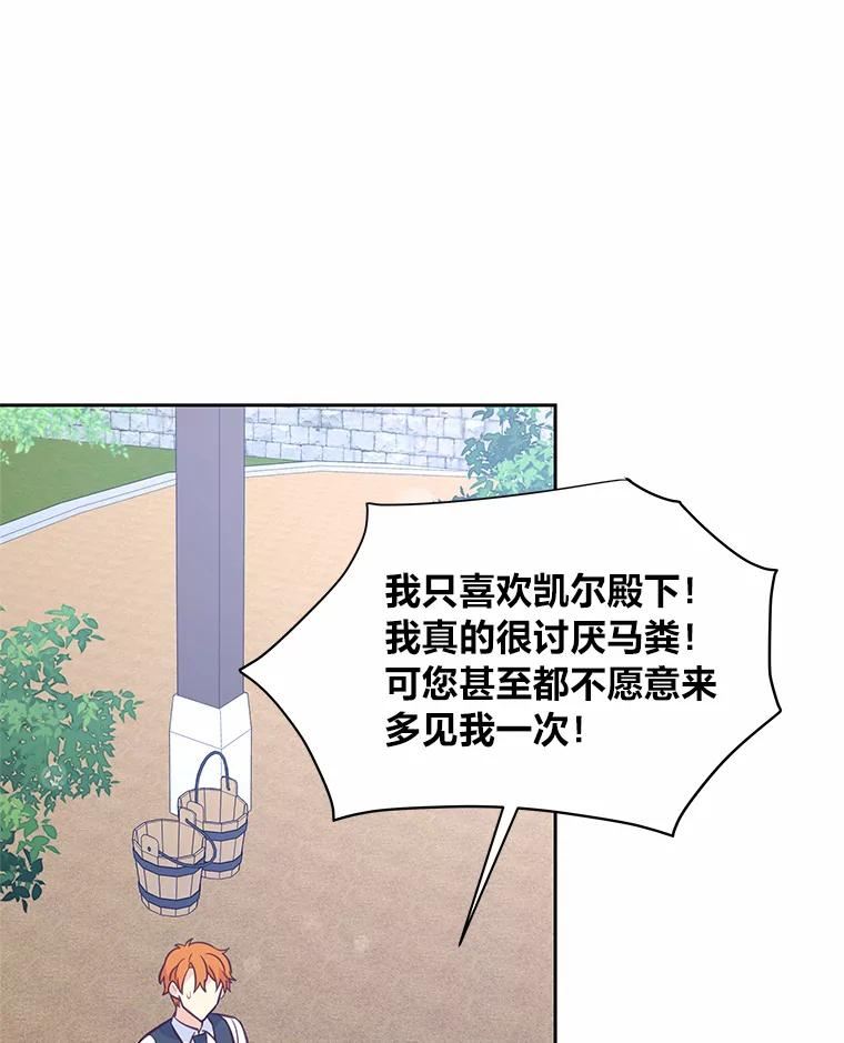 我要和配角谈恋爱漫画在线看漫画,29.愤怒的毛毡草51图