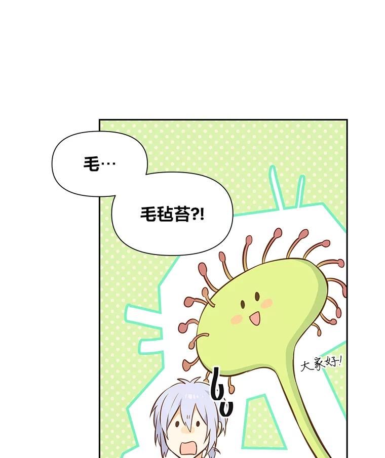 我要和配角谈恋爱漫画在线看漫画,29.愤怒的毛毡草7图