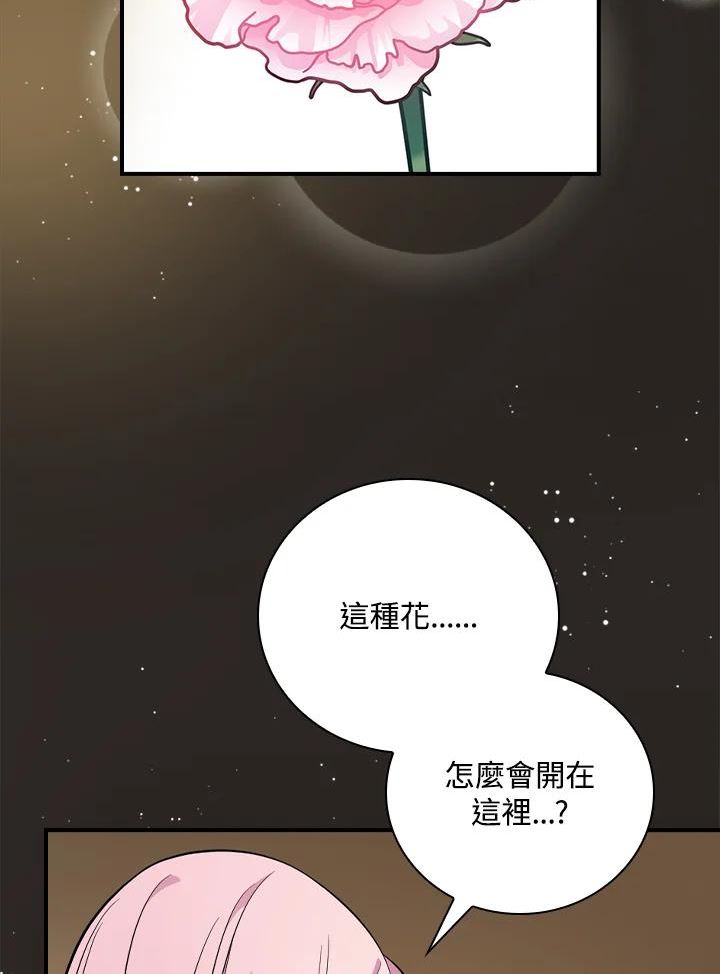 玻璃温室的公爵夫人大结局漫画,第54话96图