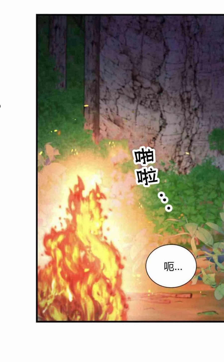 伯爵小姐的双重生活漫画,第11话14图