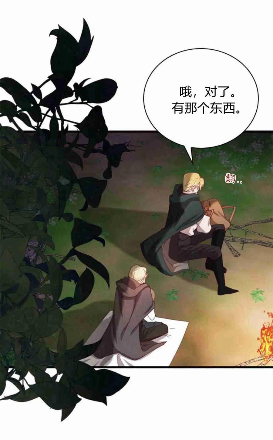 伯爵小姐的双重生活漫画,第11话65图