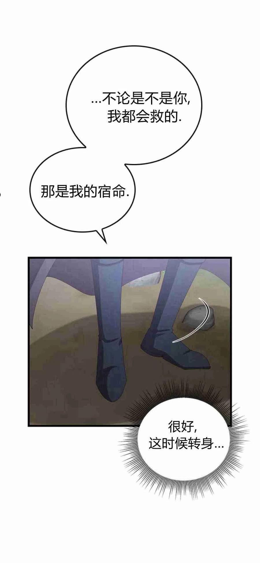 伯爵小姐的双重生活漫画,第13话29图