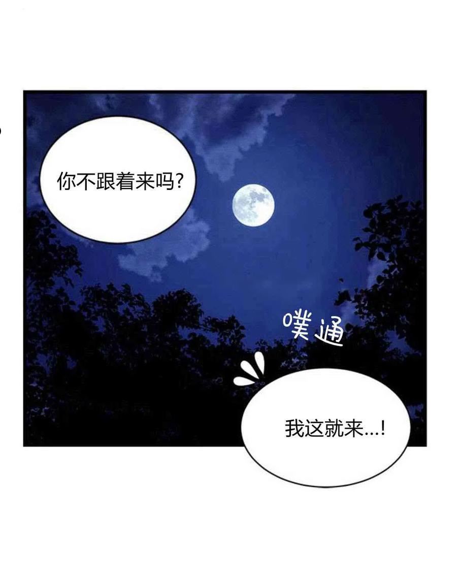 伯爵小姐的双重生活漫画,第14话21图