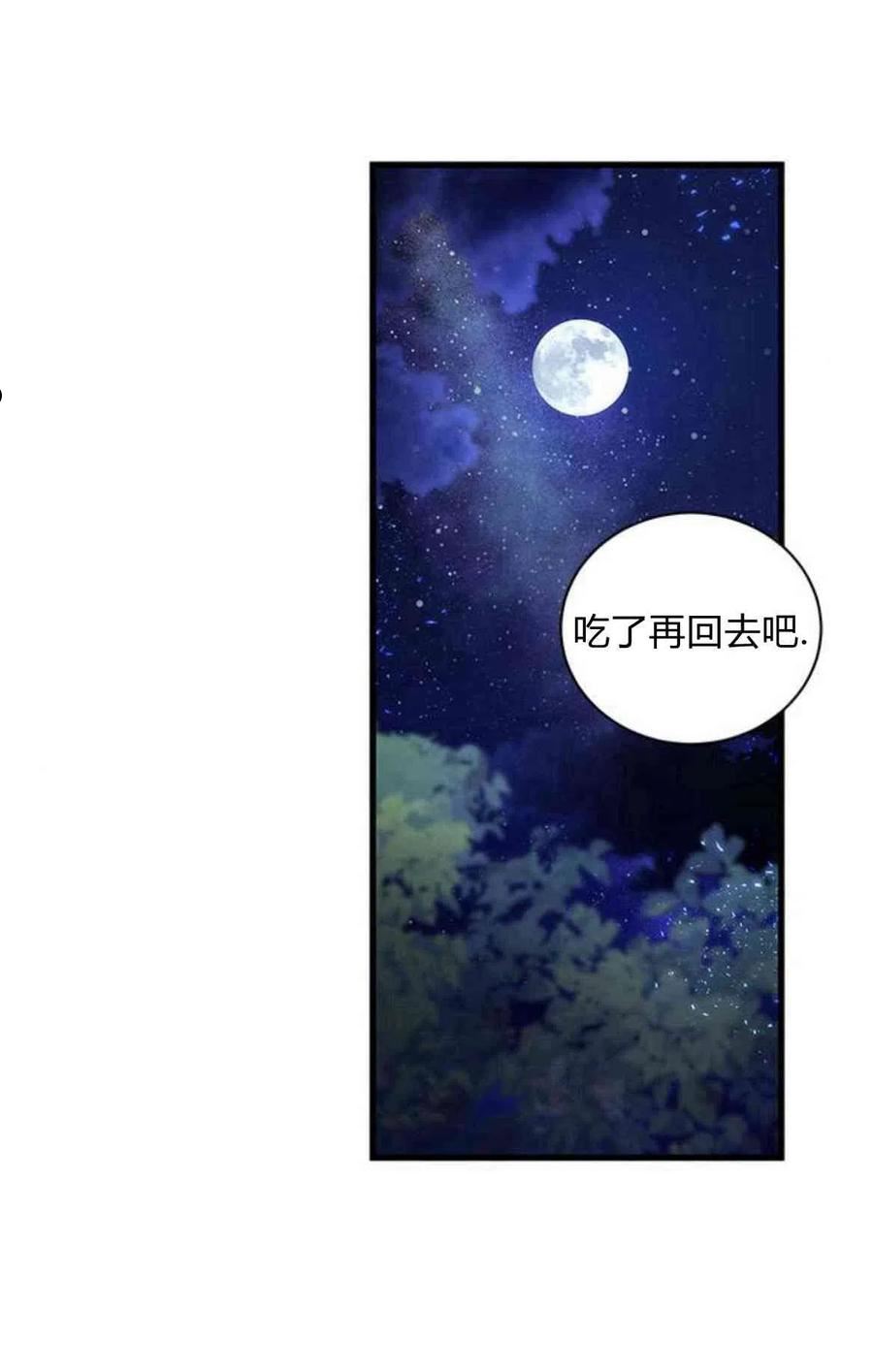 伯爵小姐的双重生活漫画,第14话41图