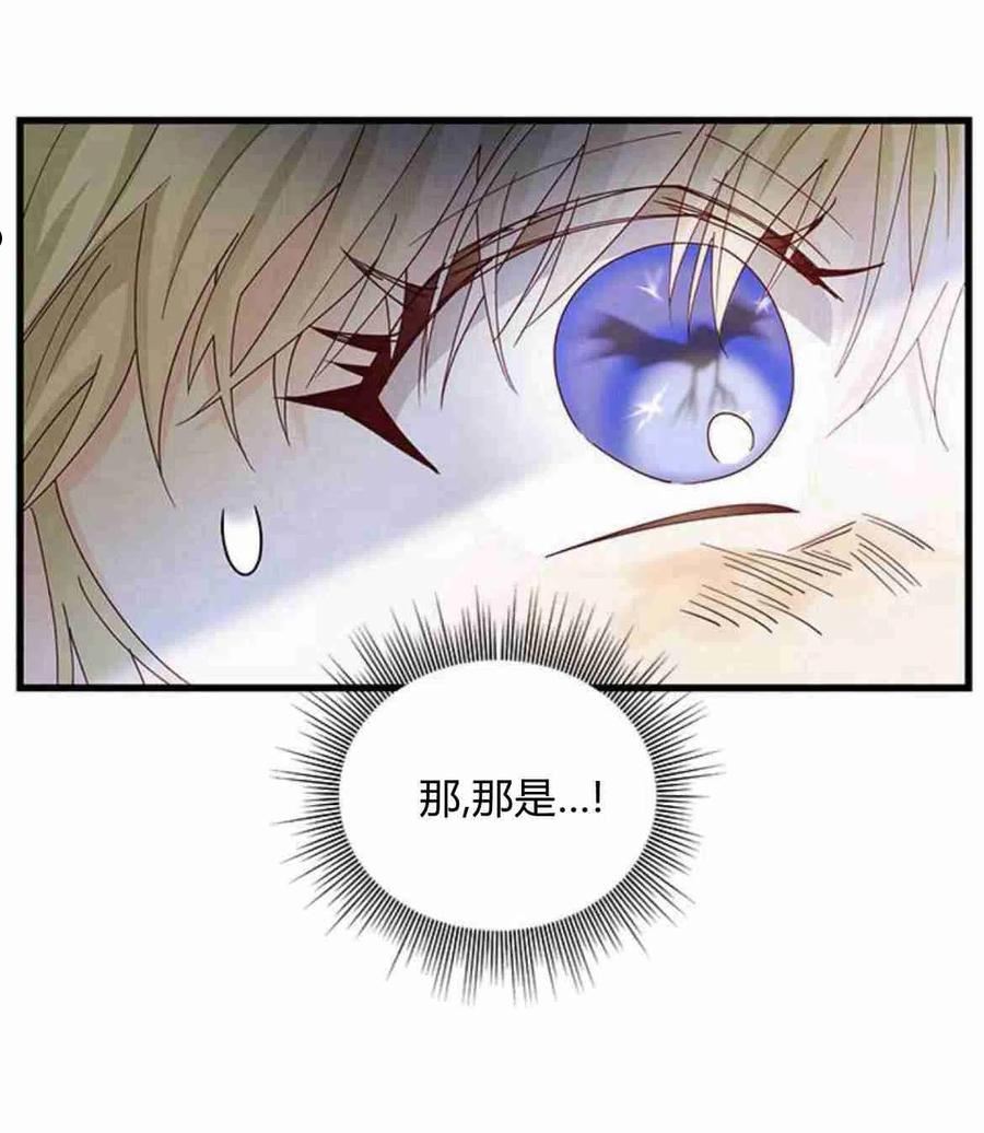 伯爵小姐的双重生活漫画,第14话68图