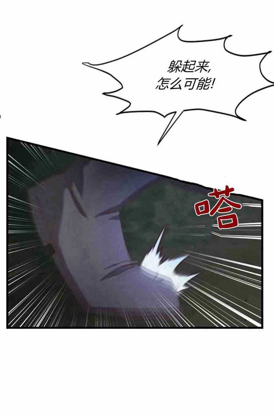 伯爵小姐的双重生活漫画,第14话74图