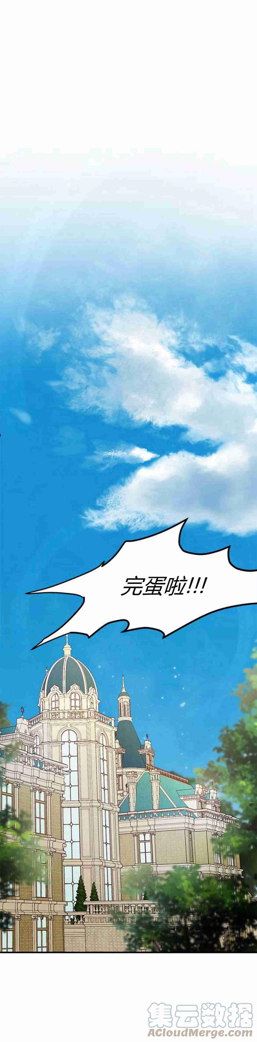 伯爵小姐的双重生活漫画,第16话61图