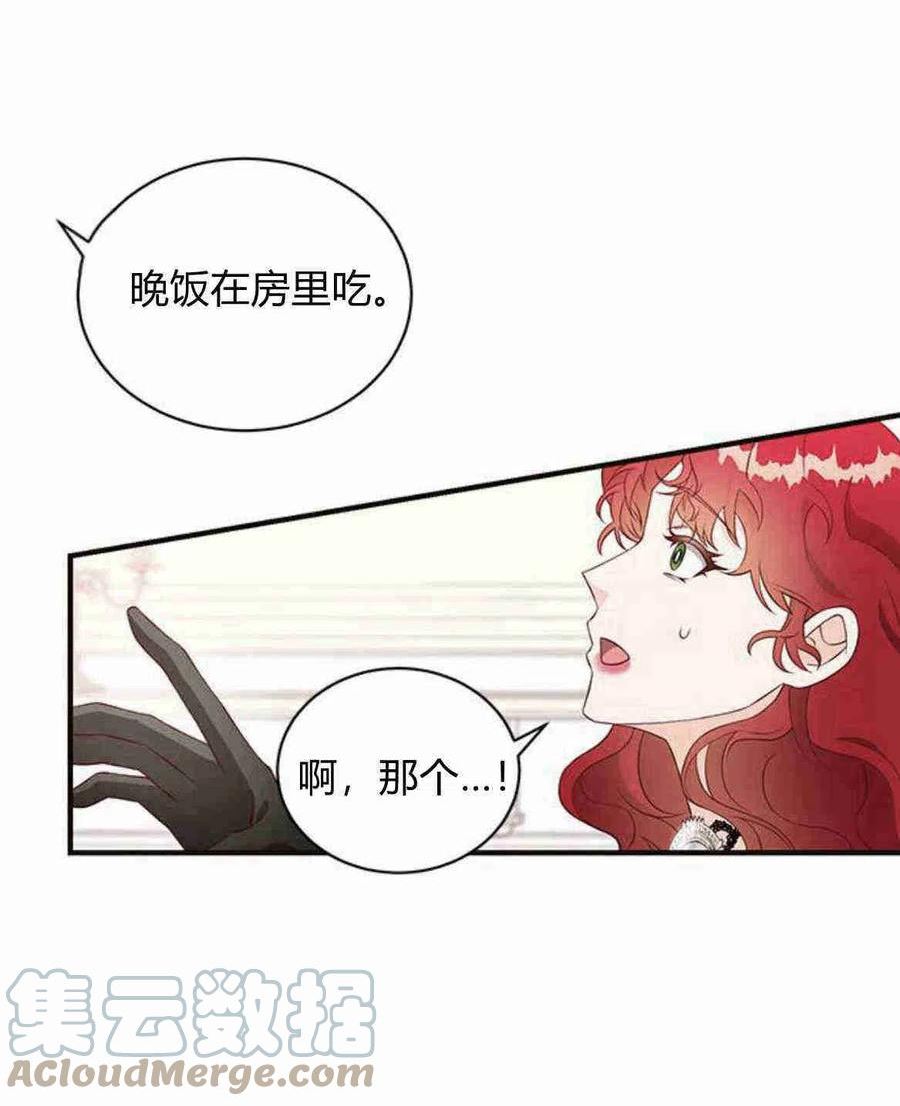 伯爵小姐的双重生活漫画,第18话28图