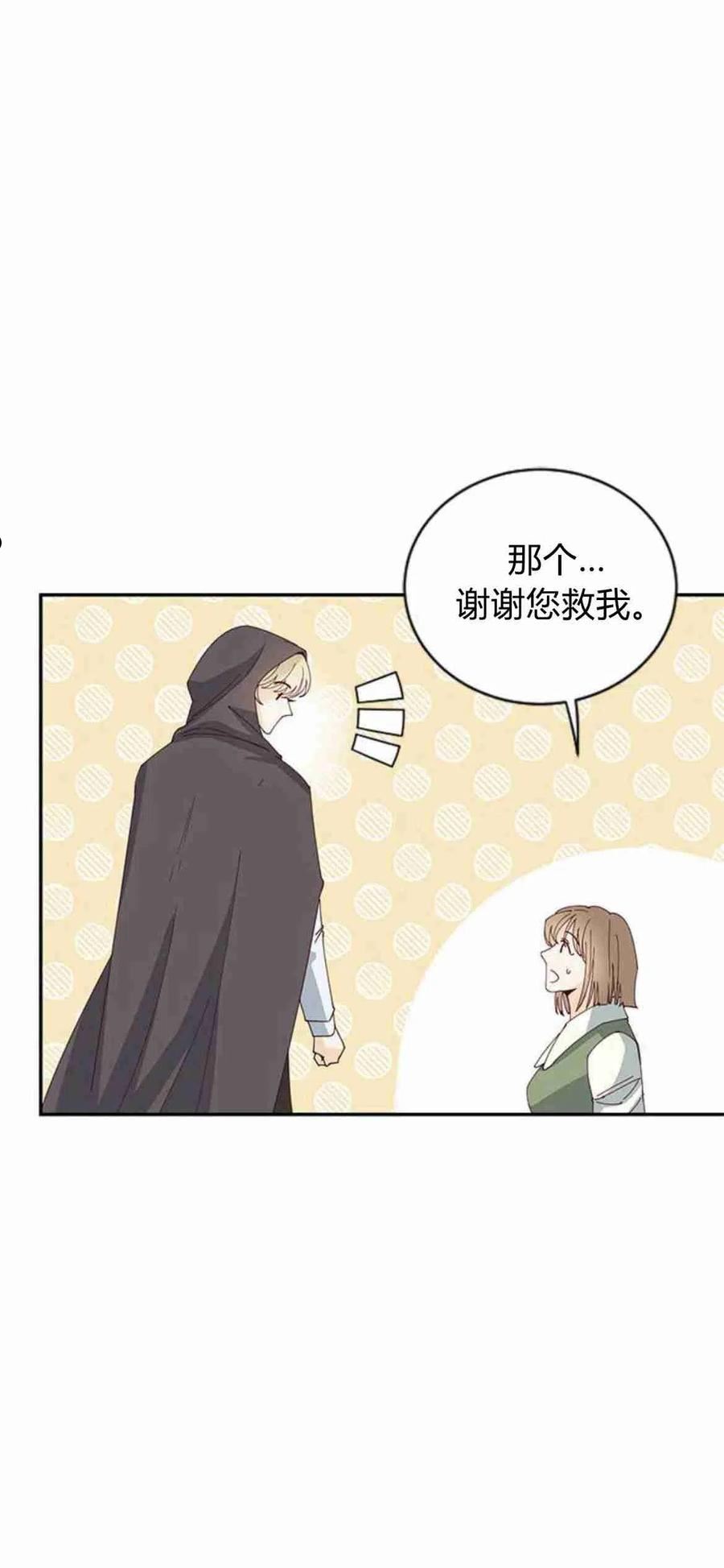 伯爵小姐的双重生活漫画,第04话21图