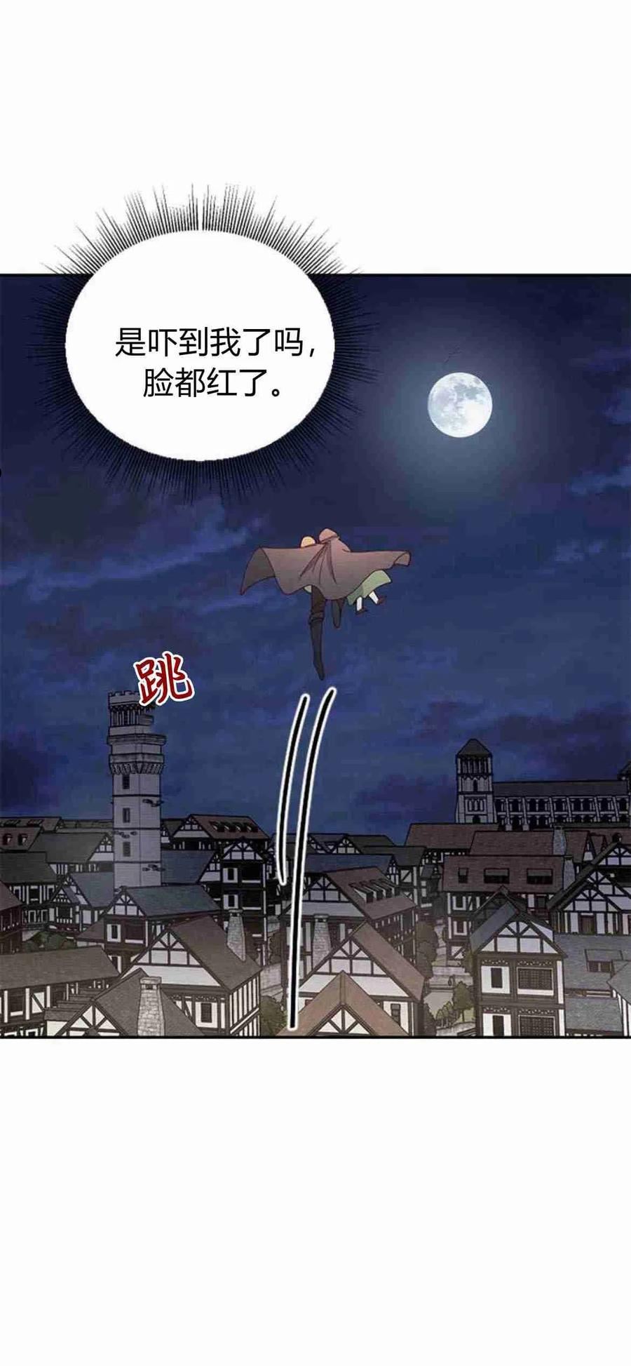 伯爵小姐的双重生活漫画,第04话24图