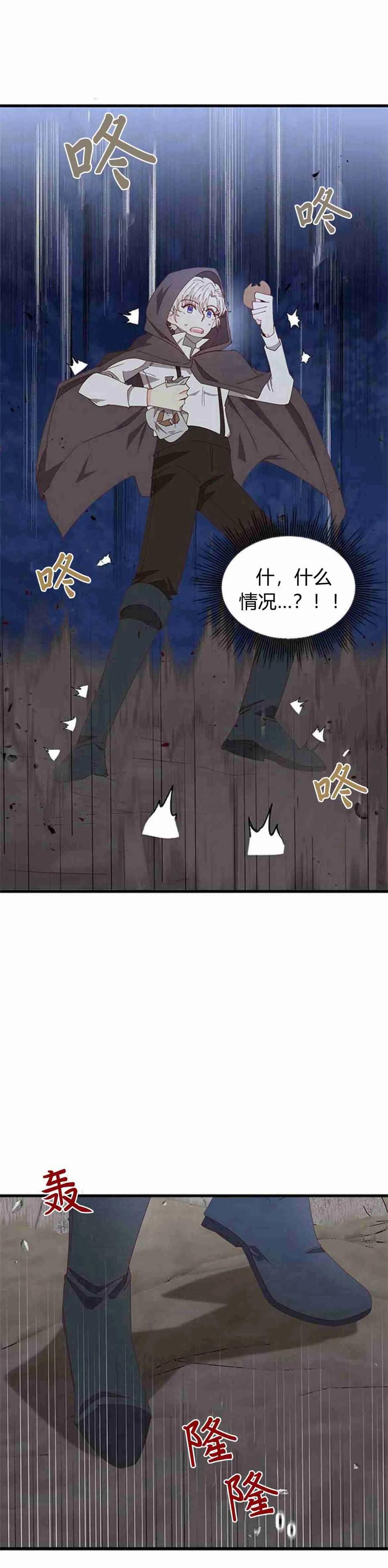 伯爵小姐的双重生活漫画,第06话63图