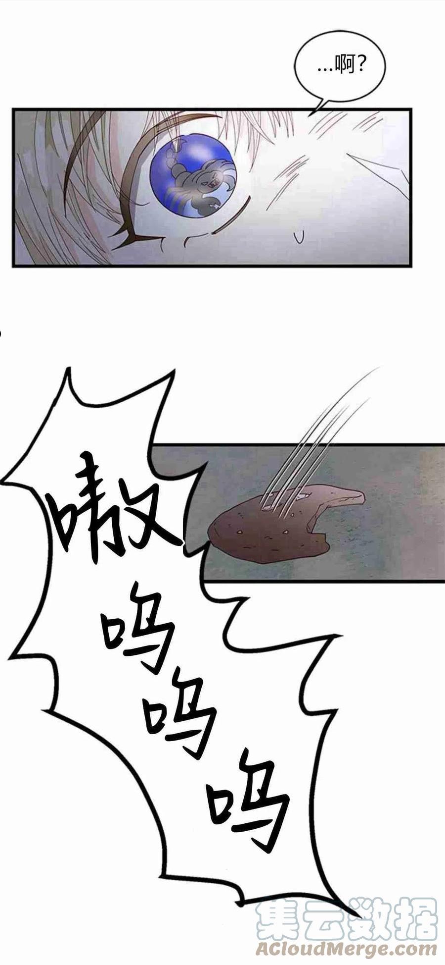 伯爵小姐的双重生活漫画,第06话70图