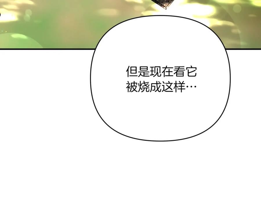 钻石小姐历险记漫画,第29话 另一位德鲁伊102图