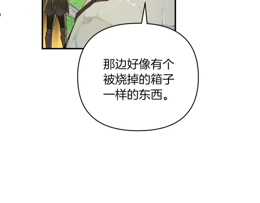 钻石小姐历险记漫画,第29话 另一位德鲁伊87图