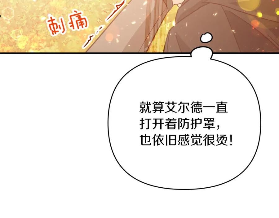 钻石小姐历险记漫画,第30话 树精养大的德鲁伊175图