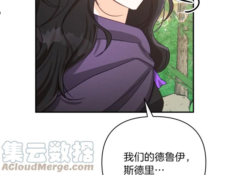 钻石小姐历险记漫画,第30话 树精养大的德鲁伊29图