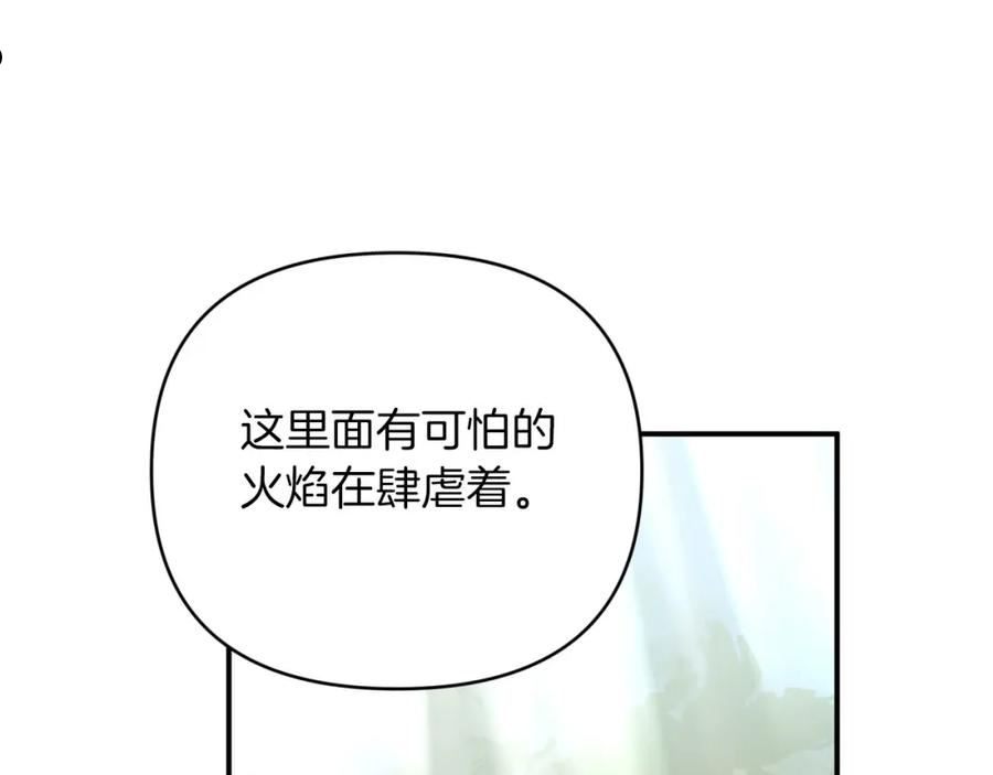 钻石小姐历险记漫画,第35话 稻草人168图