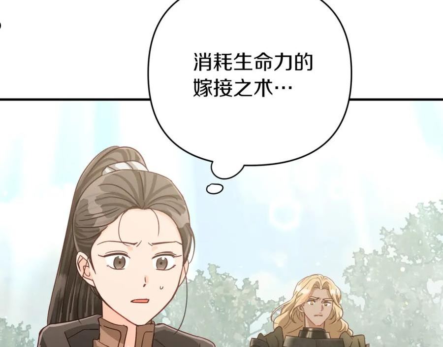 钻石小姐历险记漫画,第35话 稻草人175图