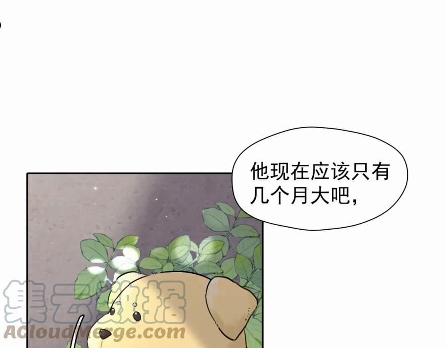 赎罪之犬漫画,第五话 少年4图