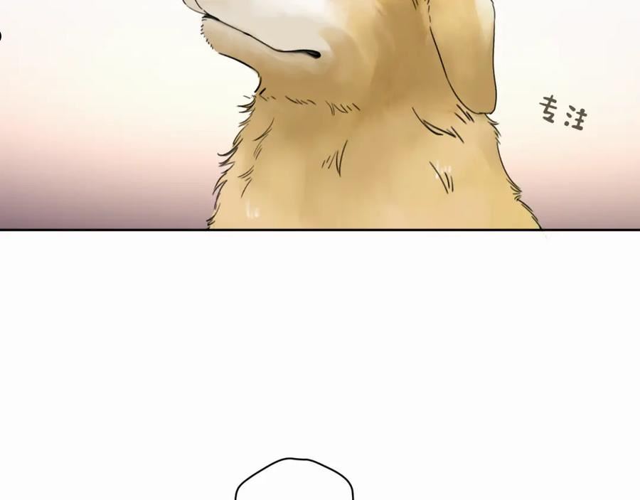 赎罪之犬漫画,第五话 少年84图