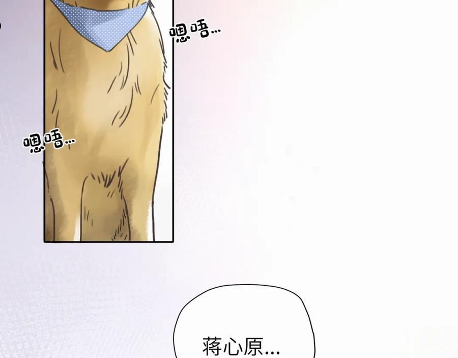 赎罪之犬漫画,第8话 别再让我找不到你20图