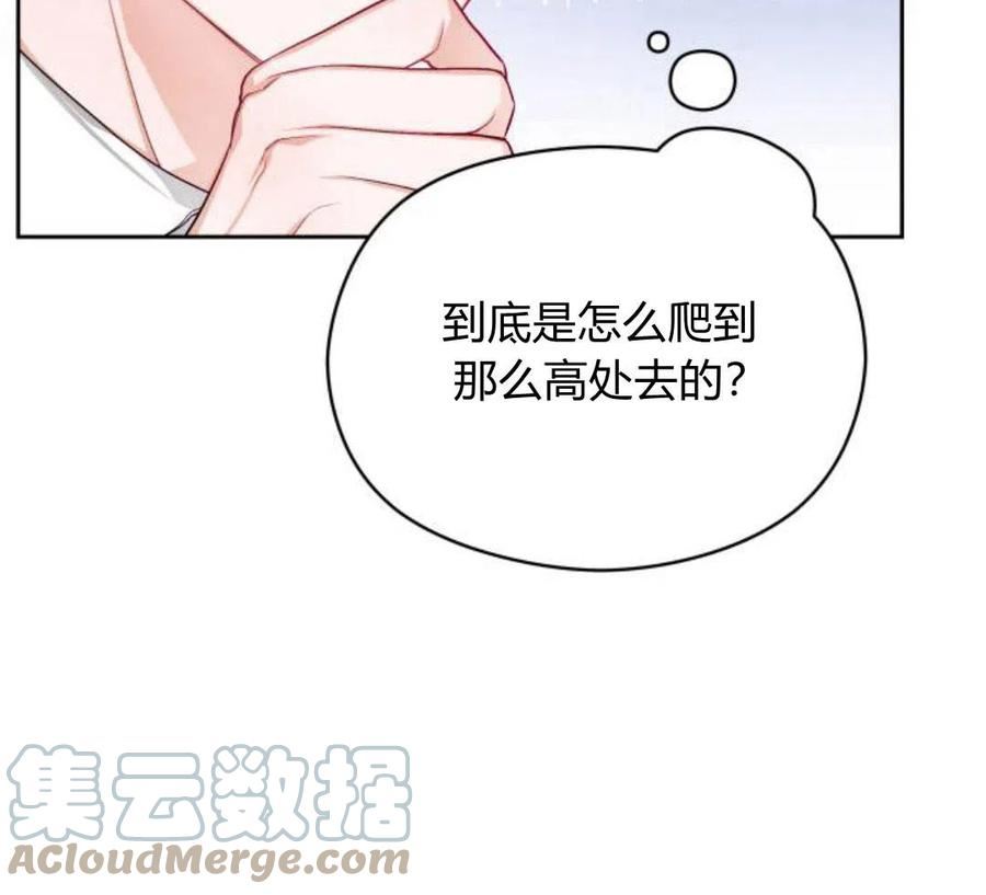 刀尖之吻漫画在线下拉免费观看漫画,第4话9图