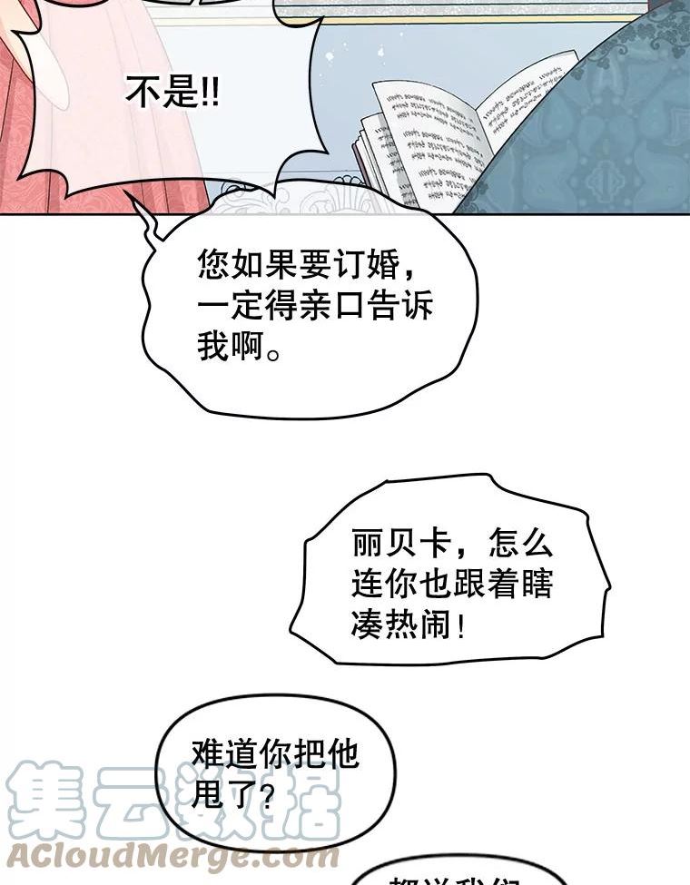 不要相信那本日记漫画,53.搭档33图