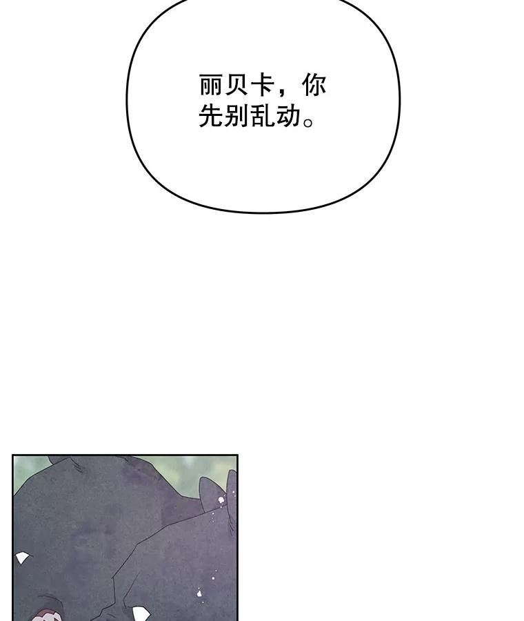 不要相信那本日记漫画,42.建国庆典（本季完）18图