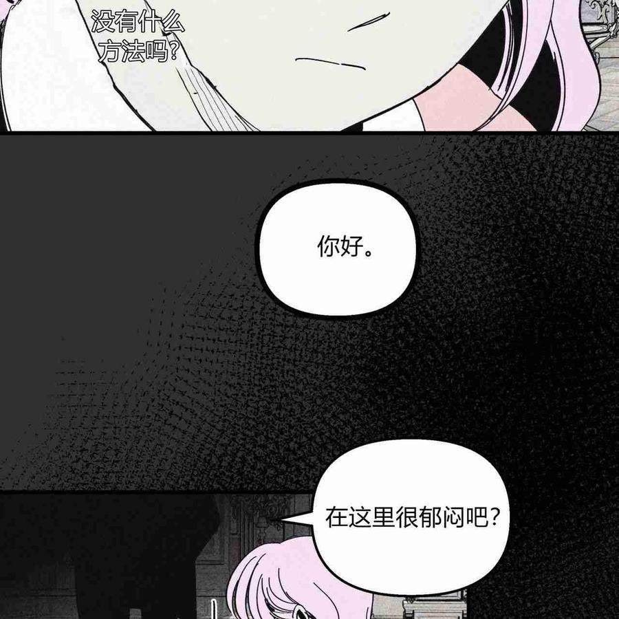 魔女居住的岛屿结局解析漫画,第19话78图