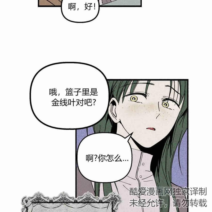 魔女居住的岛屿结局解析漫画,第28话36图