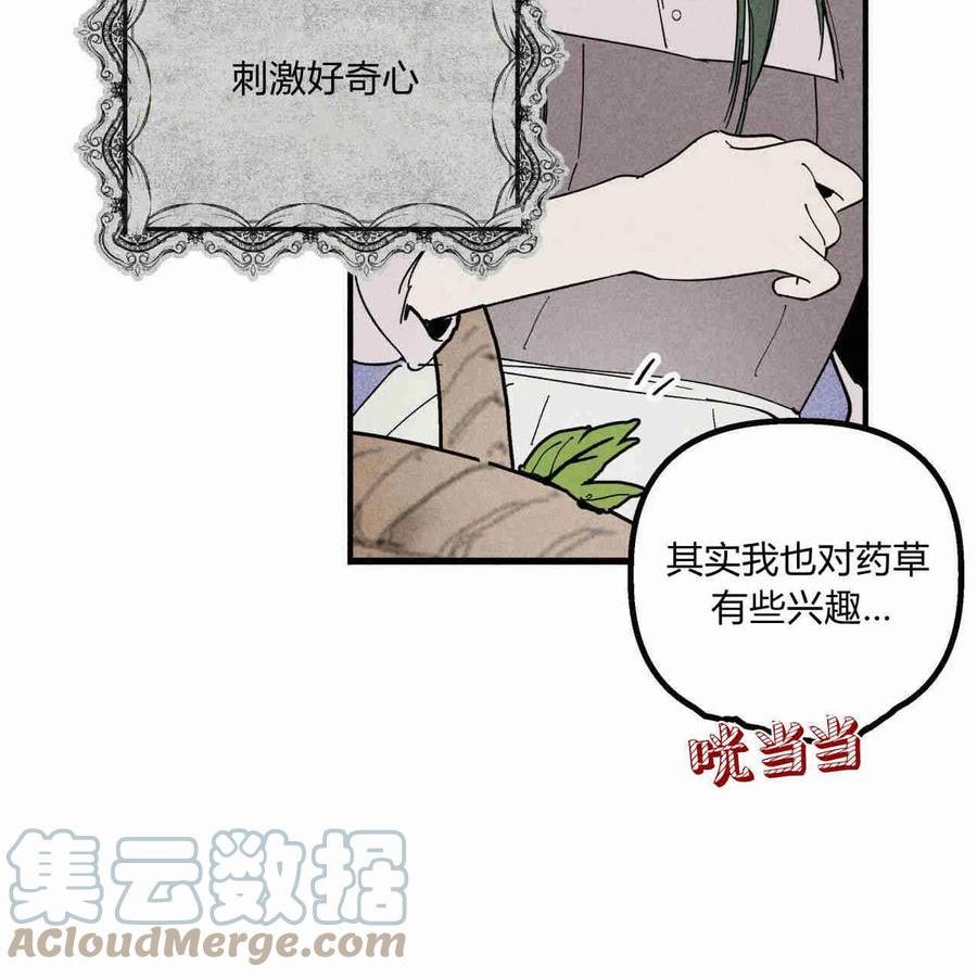 魔女居住的岛屿结局解析漫画,第28话37图