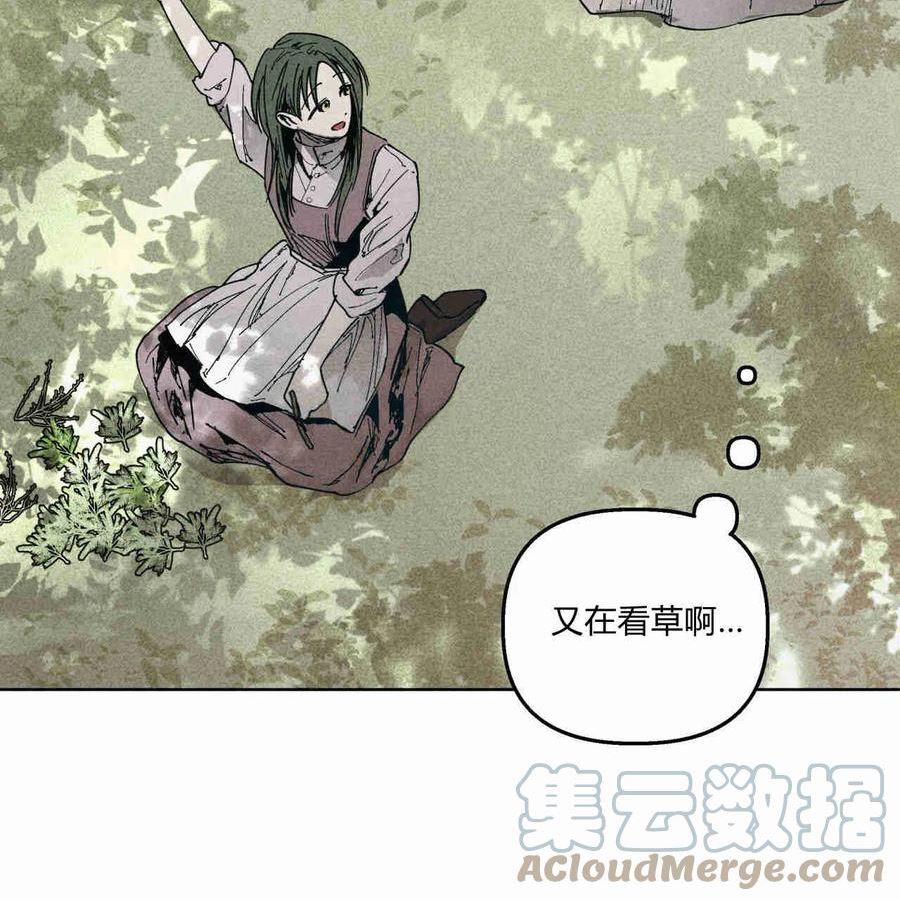 魔女居住的岛屿结局解析漫画,第28话61图