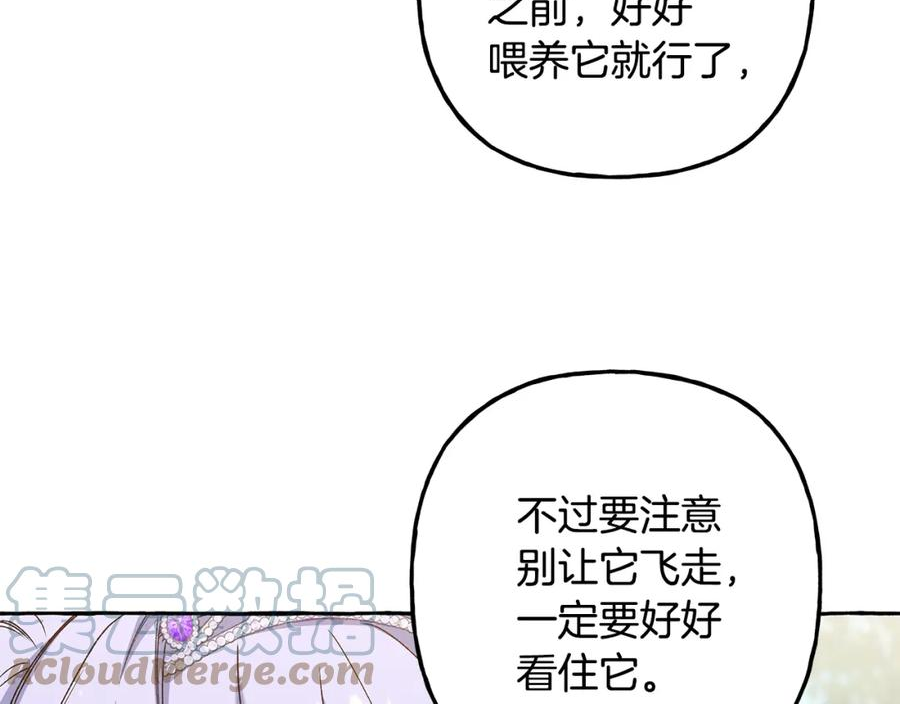 偏执公爵不让我带崽逃奇漫画免费阅读漫画,第50话 新任务49图