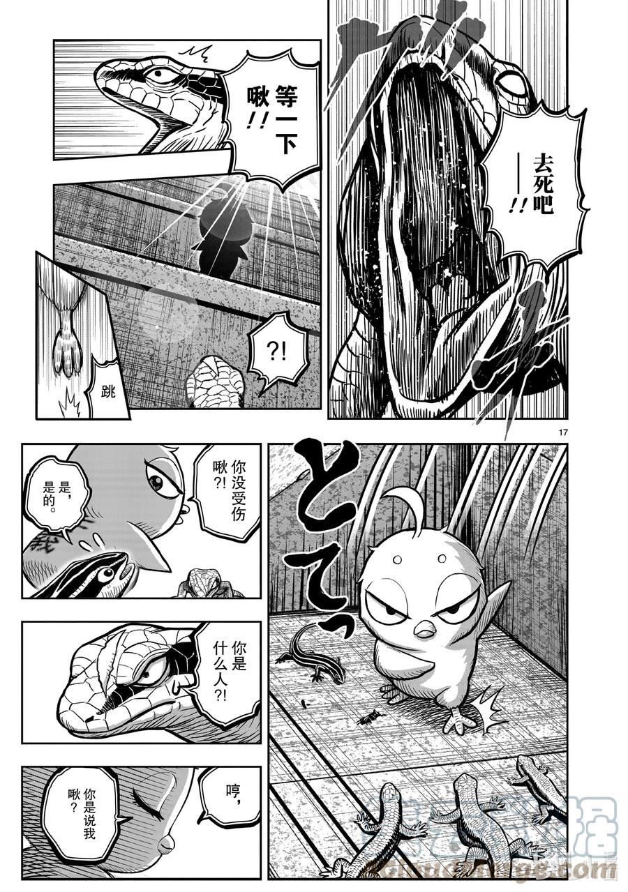 鸡斗士漫画,第18只 鸡犬不宁17图