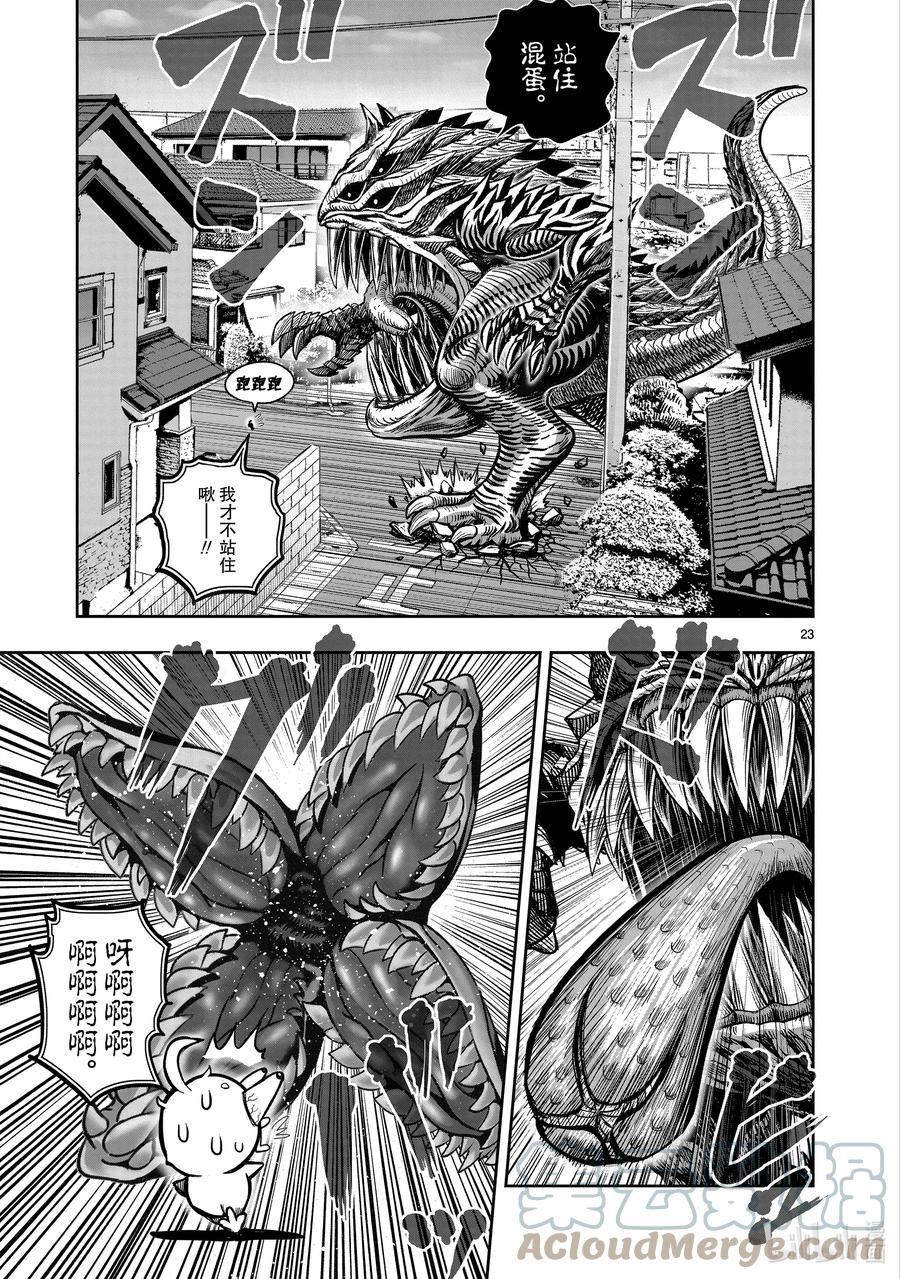 鸡斗士漫画,第18只 鸡犬不宁23图