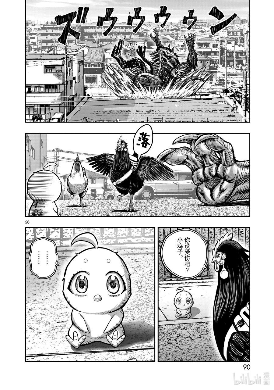 鸡斗士漫画,第18只 鸡犬不宁26图