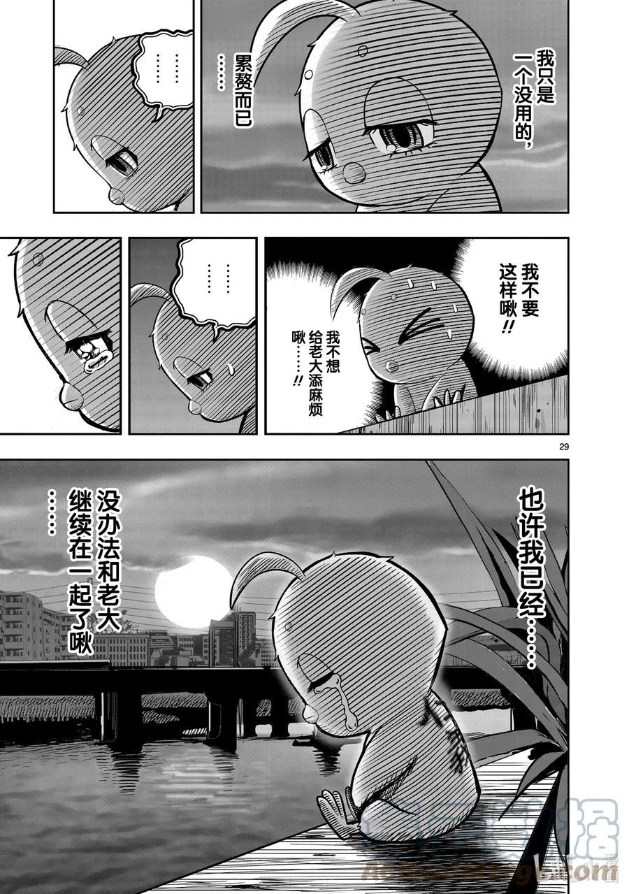 鸡斗士漫画,第18只 鸡犬不宁29图