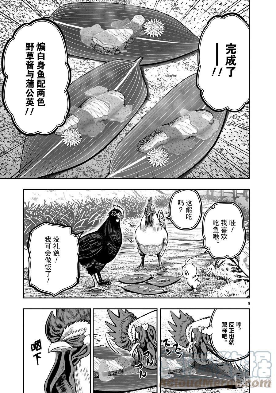 鸡斗士漫画,第18只 鸡犬不宁9图