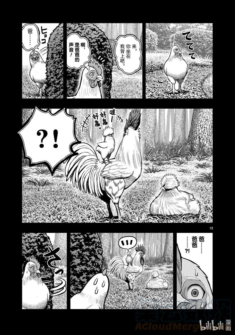 鸡斗士漫画,第19只 家鸡野鹜13图