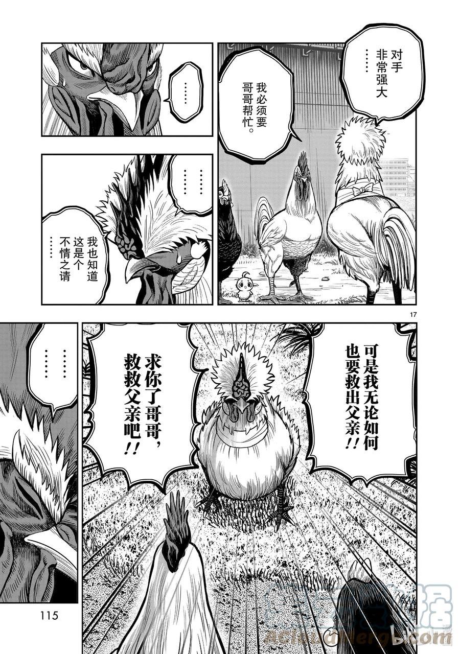 鸡斗士漫画,第19只 家鸡野鹜17图