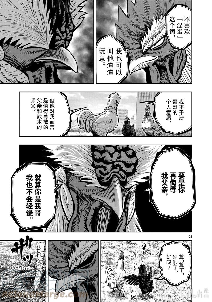 鸡斗士漫画,第19只 家鸡野鹜25图