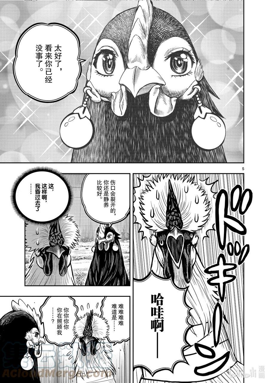 鸡斗士漫画,第19只 家鸡野鹜5图