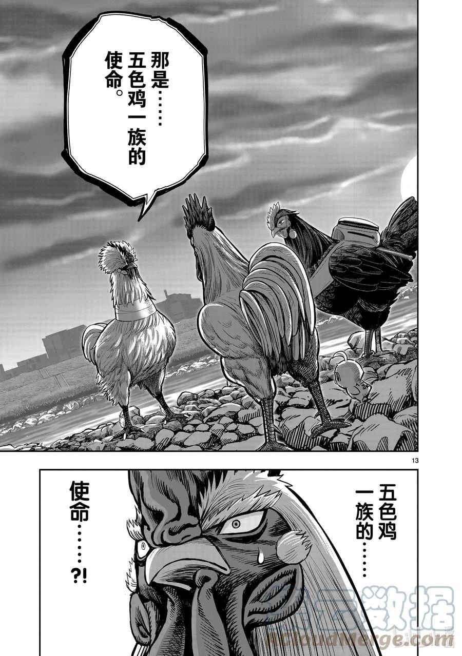 鸡斗士漫画,第20只 鸡皮鹤发13图