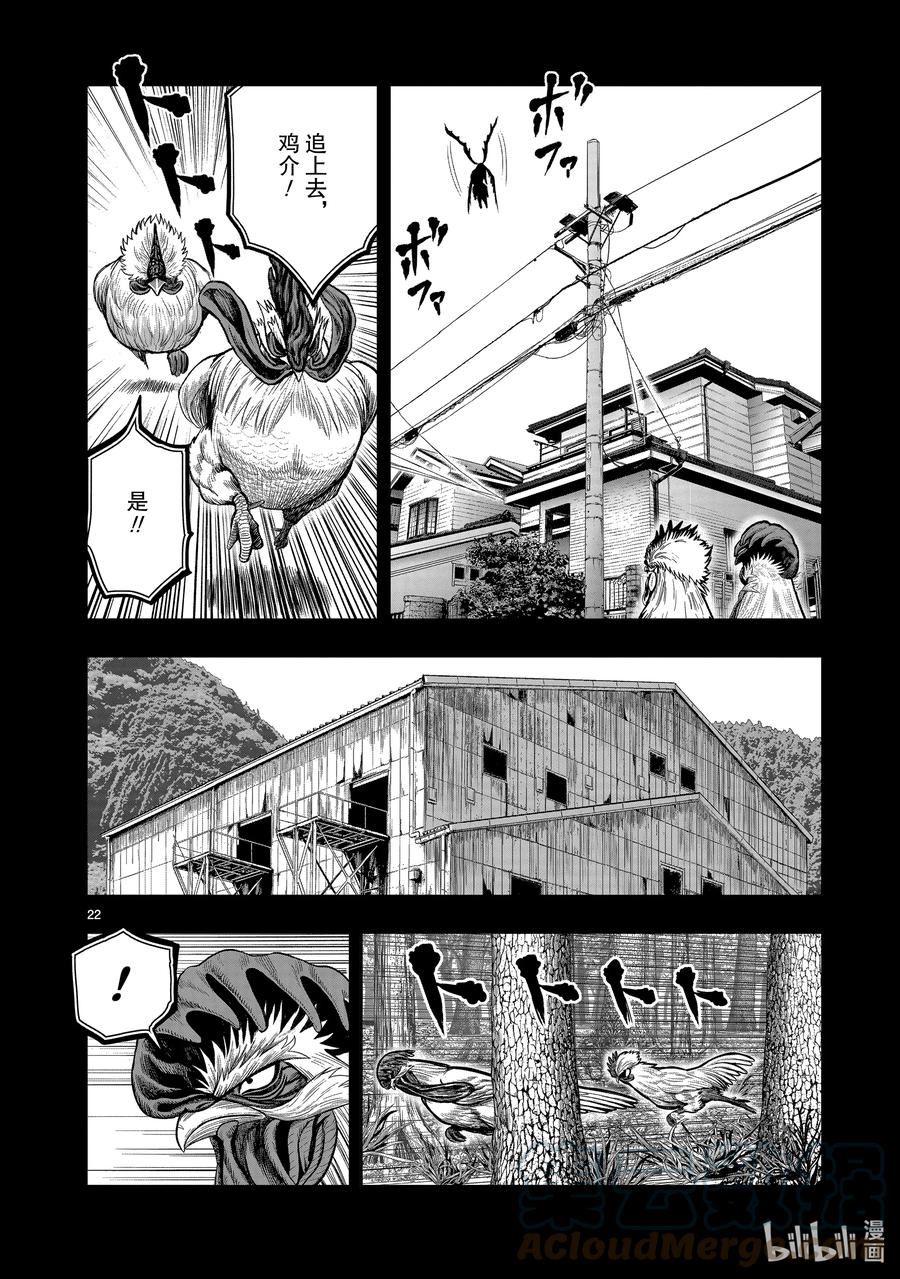 鸡斗士漫画,第20只 鸡皮鹤发22图