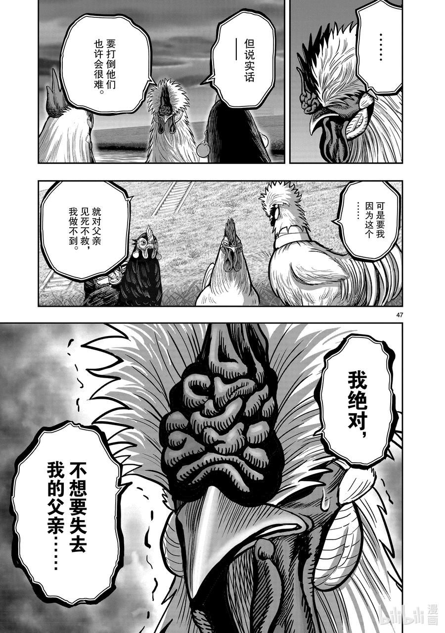 鸡斗士漫画,第20只 鸡皮鹤发47图