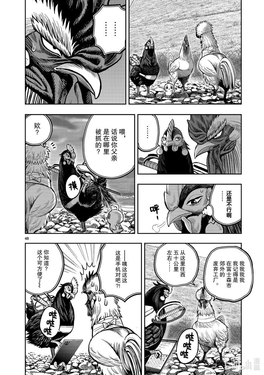 鸡斗士漫画,第20只 鸡皮鹤发48图