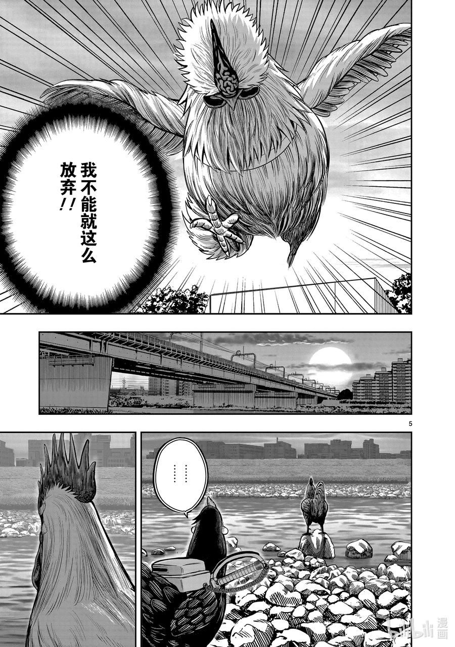 鸡斗士漫画,第20只 鸡皮鹤发5图